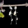 Picture of Handmade Real Bellflower Earrings with Glass Beads and Pearl