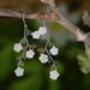 Picture of Real Mother of Pearl Leaf Earrings